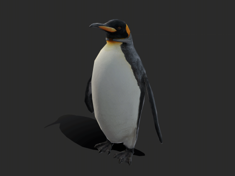 King Penguin Low Poly Animated 3D-Modell