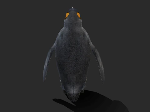 King Penguin Low Poly Animated 3D Model