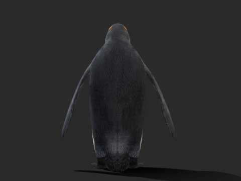 King Penguin Low Poly Animated 3D Модель