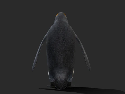 King Penguin Low Poly Animated 3D Model