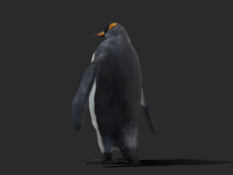 King Penguin Low Poly Animated 3D Модель