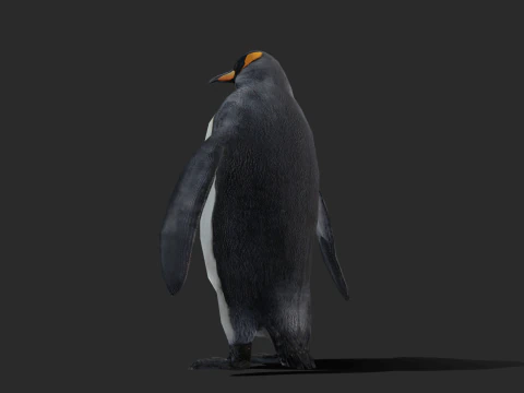 King Penguin Low Poly Animated 3D Model