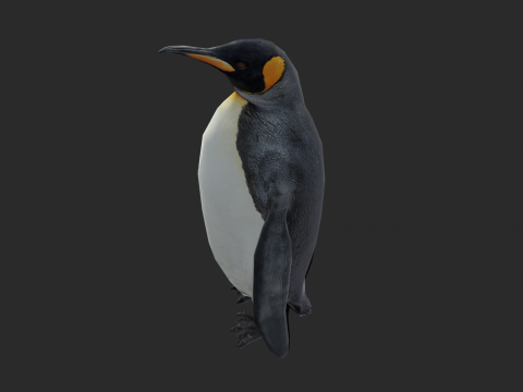 King Penguin Low Poly Animated 3D Модель