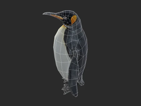 King Penguin Low Poly Animated 3D Model