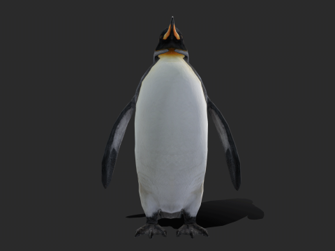 King Penguin Low Poly Animated 3D Модель