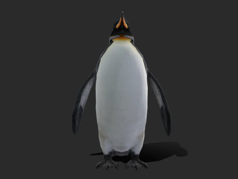 King Penguin Low Poly Animated 3D Model