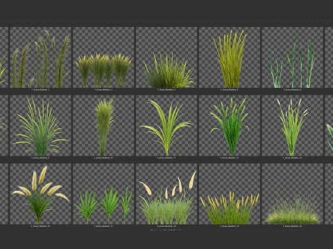 Grass Plants Mega Pack Shader Mobile Ready Unity Unreal Engine CG Textures