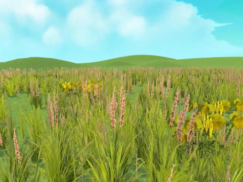 Grass Plants Mega Pack Shader Mobile Ready Unity Unreal Engine CG Textures