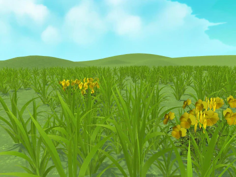 Grass Plants Mega Pack Shader Mobile Ready Unity Unreal Engine CG Textures