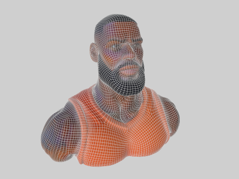Lebron James bust for 3d printing 3D Модель