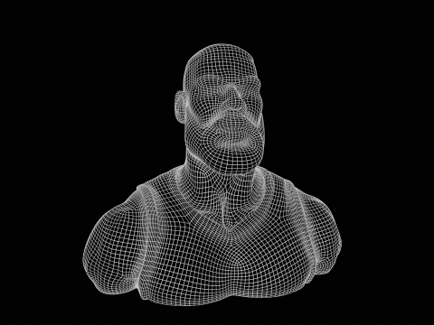 Lebron James bust for 3d printing 3D Модель