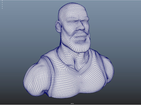 Lebron James bust for 3d printing 3D Модель