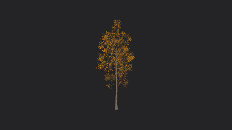 Tree 001 3D Model .c4d .max .obj .3ds .fbx .stl .blend 