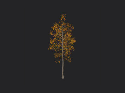 Tree 001 Modelo 3D