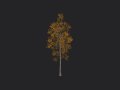 Tree 001 3D Model