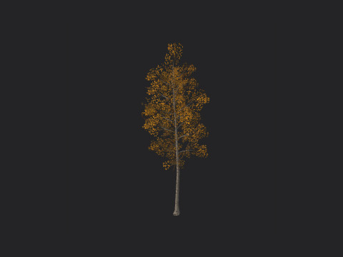 Tree 001 3D Model