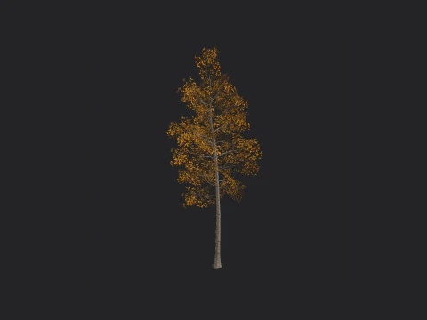 Дерево 001 3D Модель