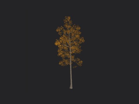 Tree 001 3D Model