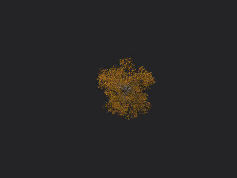 Tree 001 3D Model