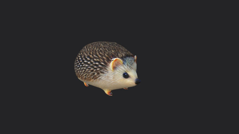 Hedgehog 3D Model .c4d .max .obj .3ds .fbx .stl .blend 