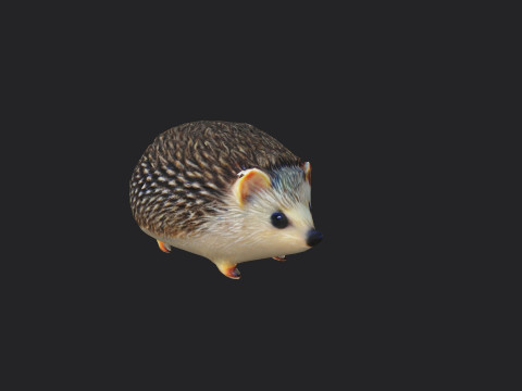 Hedgehog 3Dモデル