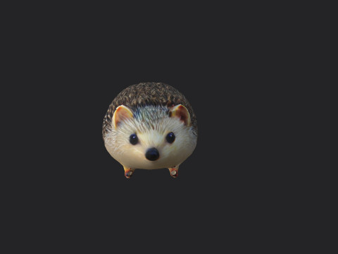 Hedgehog 3D Model