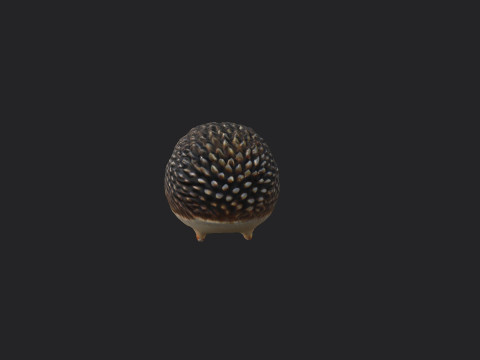Hedgehog 3D Model