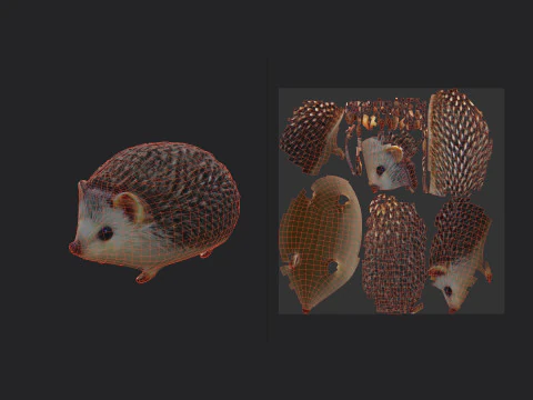 Hedgehog 3D Model