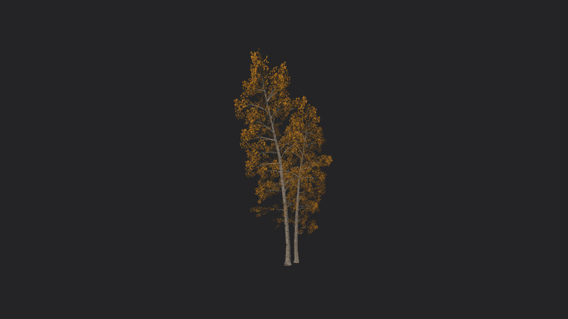 Tree 002 3D 模型 .c4d .max .obj .3ds .fbx .stl .blend 
