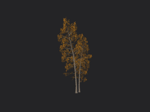 Tree 002 3D Model