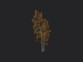 Tree 002 3D Model