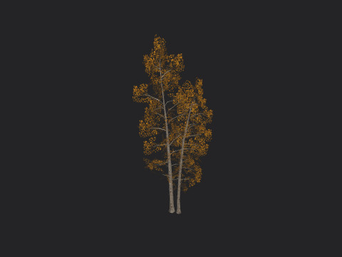Tree 002 3D 模型