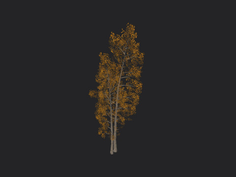 Tree 002 3D 模型