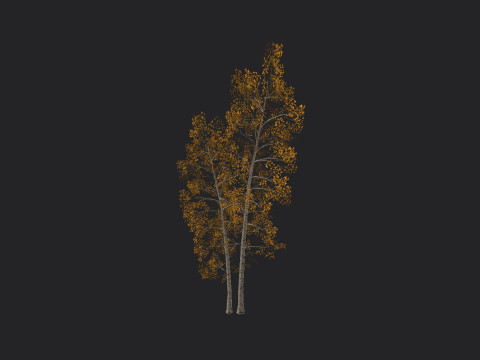 Tree 002 3D 模型