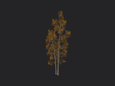 Tree 002 3D 模型