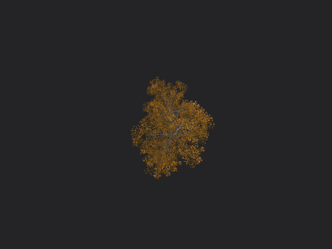 Tree 002 3D 模型