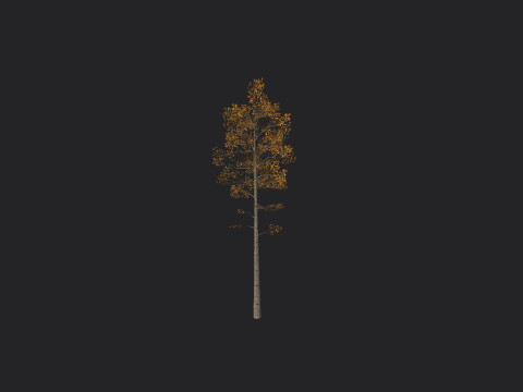 Tree 003 3Dモデル