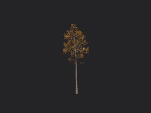 Tree 003 3Dモデル