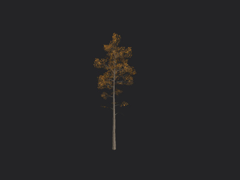 Tree 003 3Dモデル