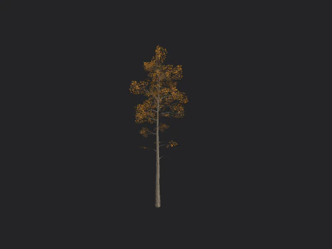 Albero 003 Modello 3D