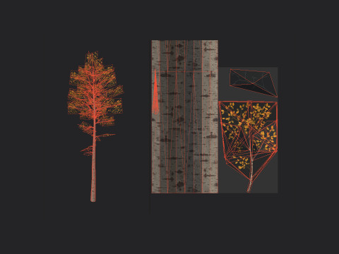 Tree 003 3Dモデル