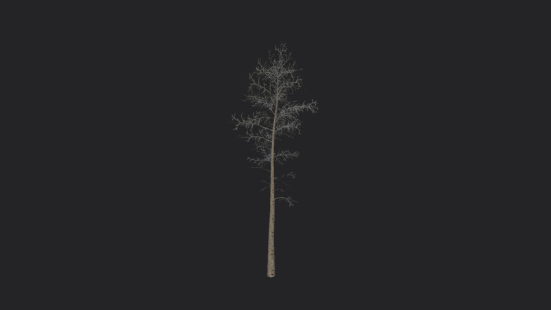 Tree 004 3D Model .c4d .max .obj .3ds .fbx .stl .blend 