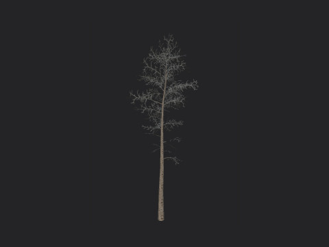 Tree 004 3D 모델