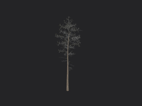 Tree 004 3D Model