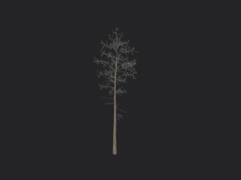 Tree 004 3D Model