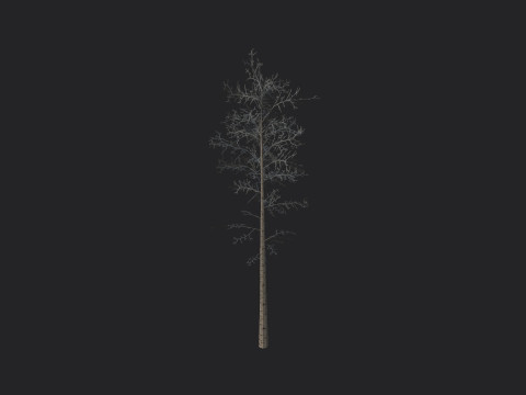 Tree 004 3D Model