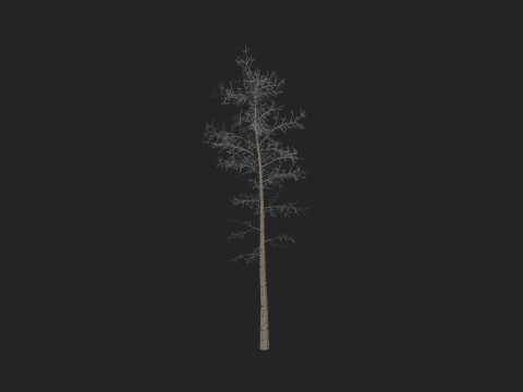 Tree 004 3D Model