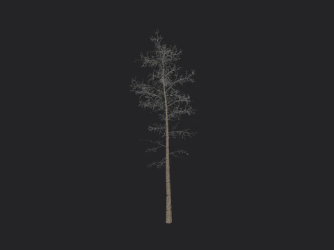 Tree 004 3D Model