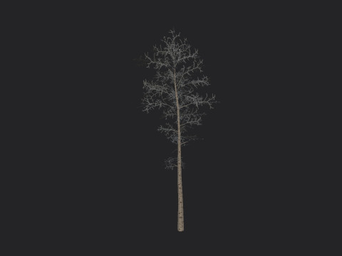 Tree 004 3D Model