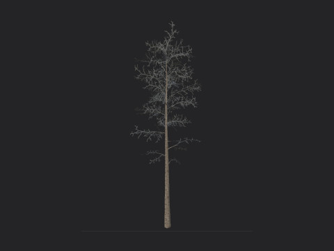 Tree 004 3D Model